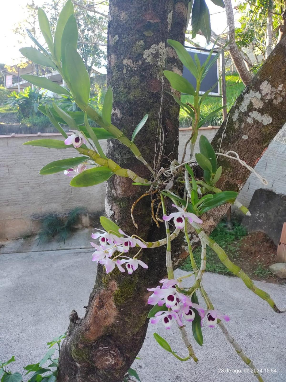 Pousada Cantinho Do Vale Penedo  Dış mekan fotoğraf